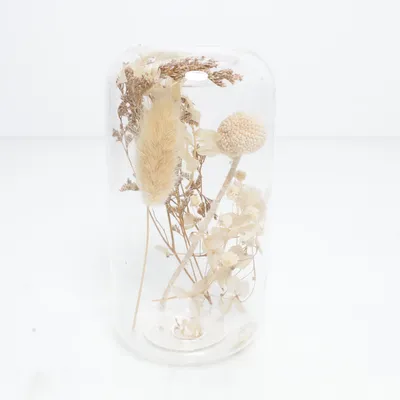 Inredningsdetalj (Transparent, Beige) från Rossmann