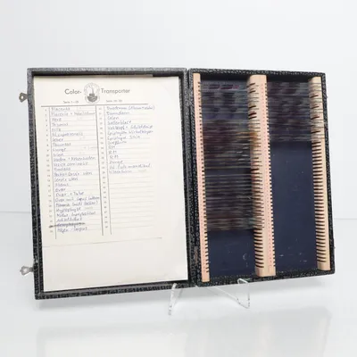 Anatomimodell (Histo-Schnitte für Anatomie)