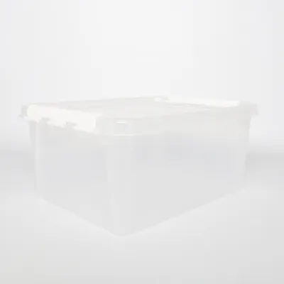 Storage box (Transparent) from Smartstore