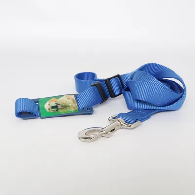 Dog accessory (Blue) from Pet Products