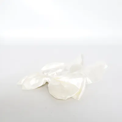 Accessoire pour cheveux (Beige)