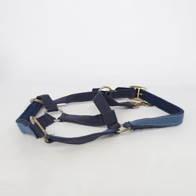 Licol (Bleu) de Loesdau