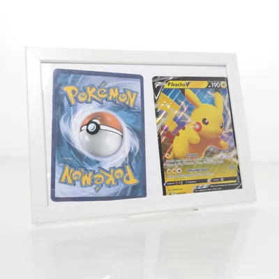 Tavla från Pokémon