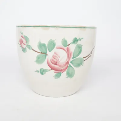 Pot (Beige, Green)