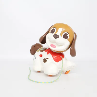 Activiteitenspeelgoed (Spazier-Hündchen) van VTech