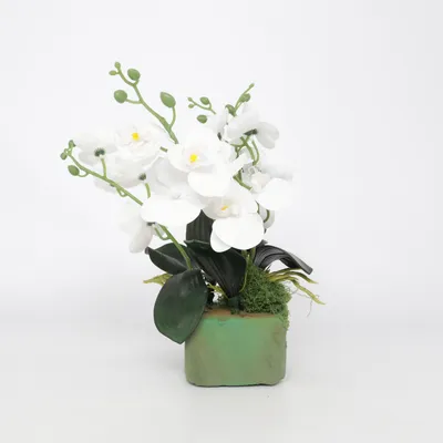 Plante artificielle (Blanc, Vert)
