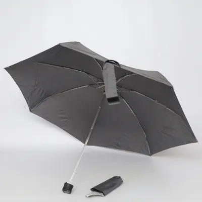 Paraplu (Mini-Taschenschirm) van Point