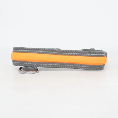 Collier pour chien (Gris, Orange) de Zoofari