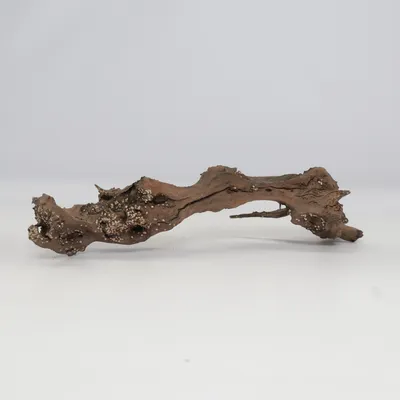 Accessoire pour aquarium (Marron)