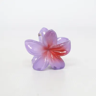 Pince à cheveux (Violet, Rouge)
