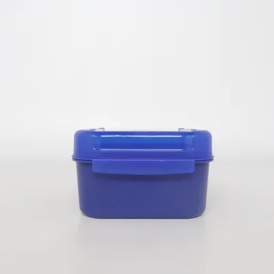 Boîte à déjeuner (Bleu) de Tupperware