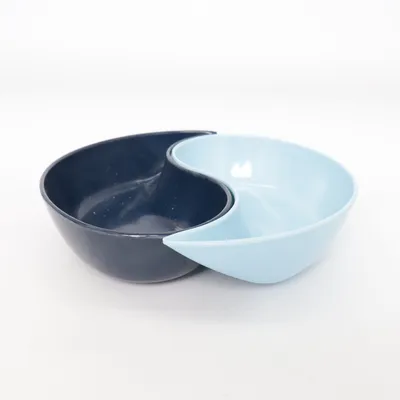 Bowl (Black, Blue) from Parrot
