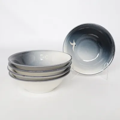 Bowl (Blue, Gray) from Nittsjö