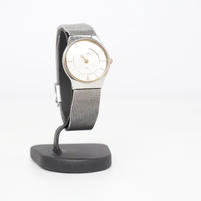 Montre (Argent) de Skagen