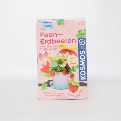 Kreasæt (Pink, Flerfarvet) fra Kosmos