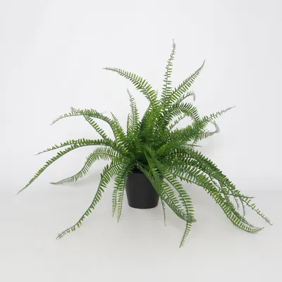 Kunstplant (Fejka) van IKEA