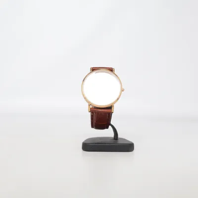 Armbandsur (Brun, Guldfärgad) från Kompass