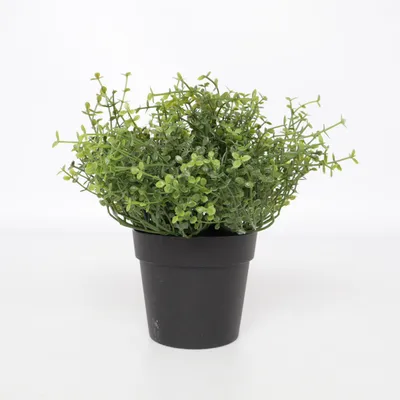 Kunstig plante (Grøn, Sort) fra IKEA