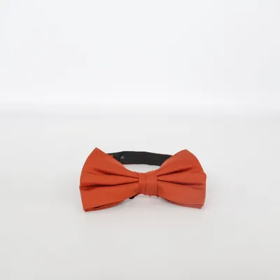 Noeud papillon (Marron) de Brothers Soie