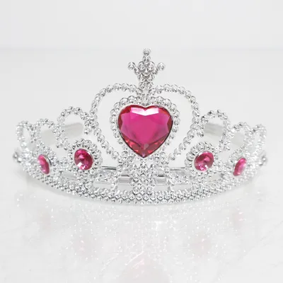 Kostuum accessoires (Zilver, Roze)