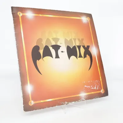 Vinylskiva