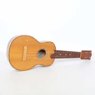 Ukulele (Brun) från Skylark