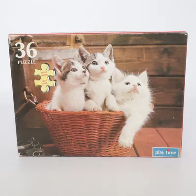 Puzzle de Play Time