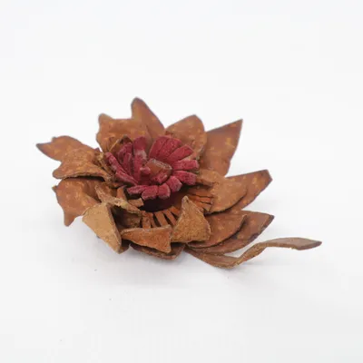 Broche (Marron, Violet) Métal inconnu