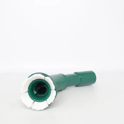 Dammsugardel (Grön, Vit) från Vorwerk