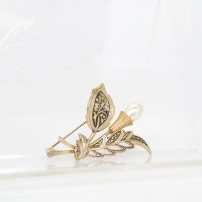 Broche (Or, Argent) Métal inconnu