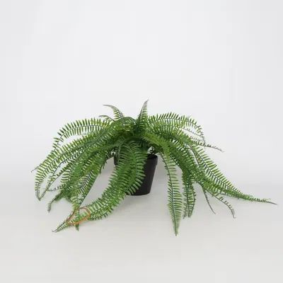 Plante artificielle (Vert) de IKEA