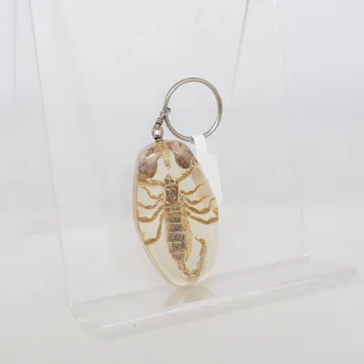 Hänge (Äkta skorpion i resin.) Okänd metall