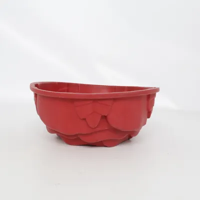Bakblik (Rood)
