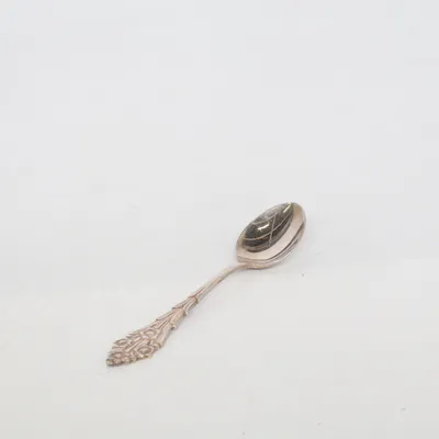 Teaspoon (Silver) from Ns Alpacca