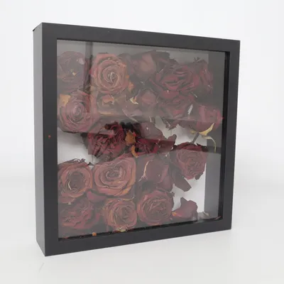 Frame (Black, Red)
