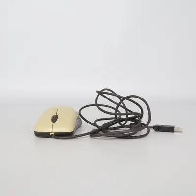 Computer mouse (Wheel Mouse Optical USB and PS/2 Compatible) from Microsoft