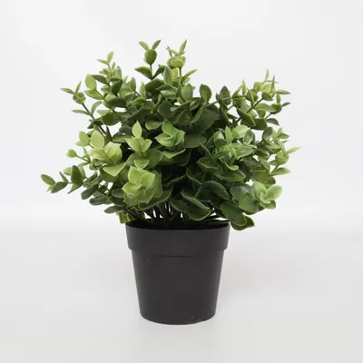 Konstgjord växt (FEJKA) från IKEA