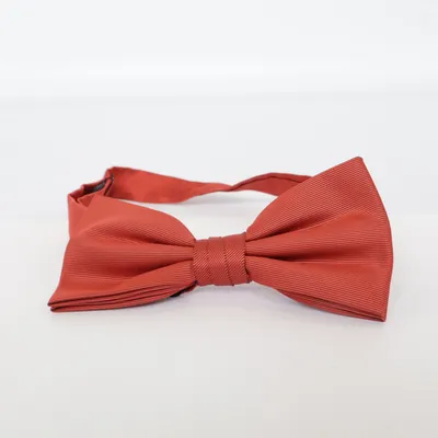 Fluga (Brun)