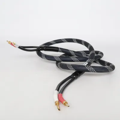 Audio cable from Proson