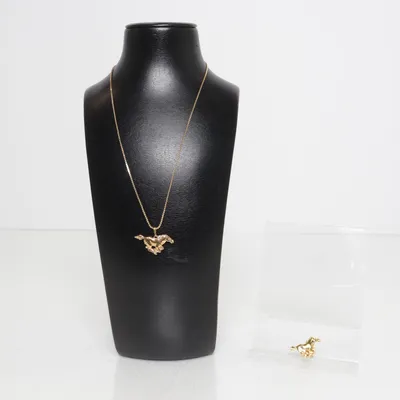 Sieradenset (Goud) Onbekend materiaal