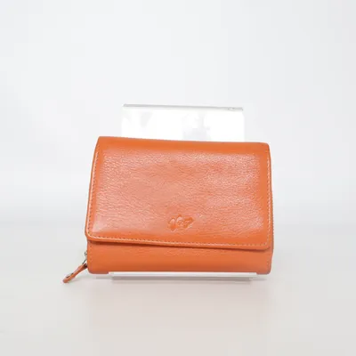 Portefeuille (Marron) de Virgo
