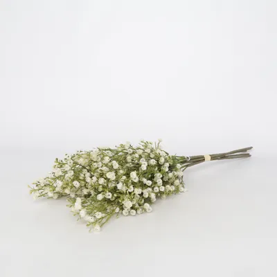 Plante artificielle (Blanc, Vert)