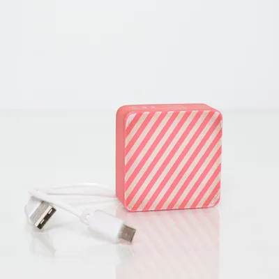 Powerbank (60.30.0289)