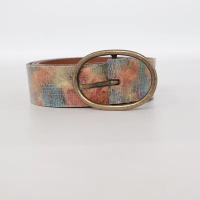 Belt (Brown, Multicolored) from Big Star