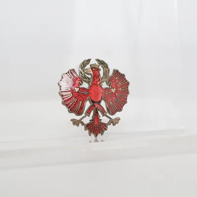 Brooch (Red, Gold) Unknown metal