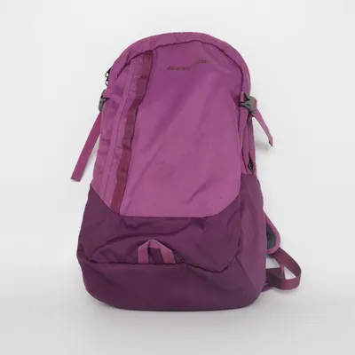 Backpack (Purple) from Everest