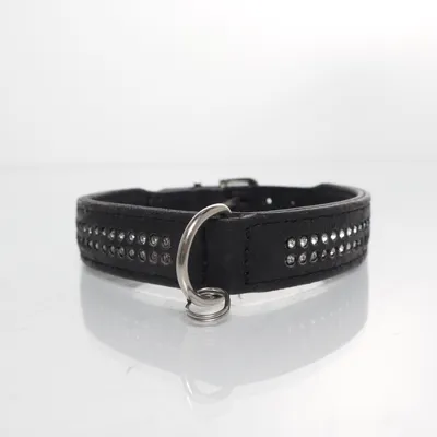 Hundhalsband (Svart) från Hunter