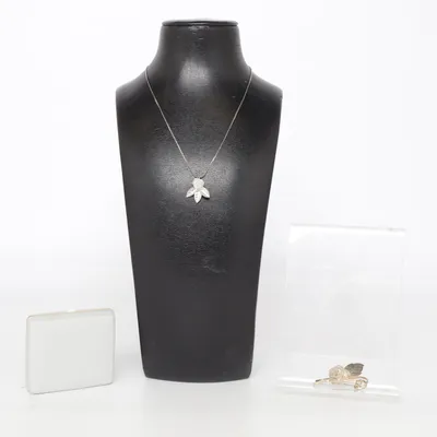 Jewelry set (Silver) from Guldfynd Unknown metal