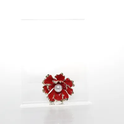 Broche (Goud, Rood) Onbekend materiaal