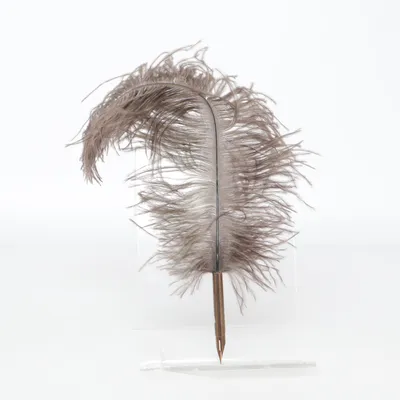 Stylo-plume (Dip pen)